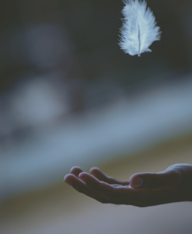 white feather falling into hand
