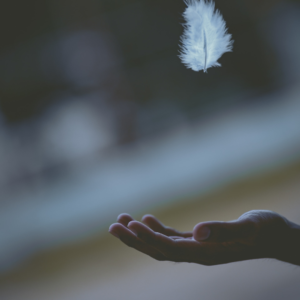 white feather falling into hand