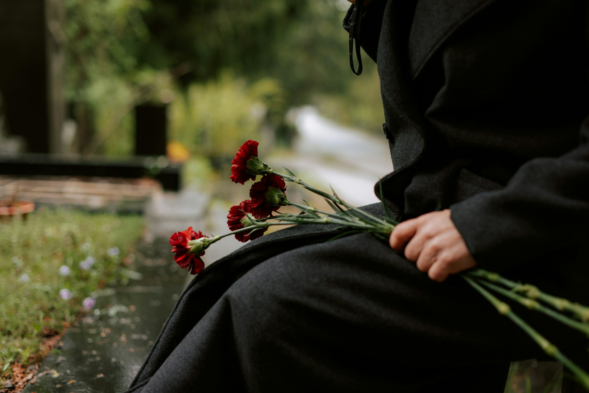 A person in a black coat, shown from the shoulders down, sits in a graveyard, clutching three red carnations in their lap, with the graves and greenery blurred in the background, representing the abuse of court process in estate litigation.